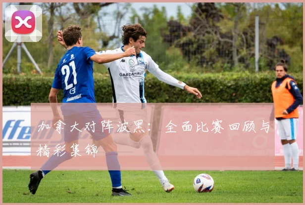 加拿大对阵波黑:全面比赛回顾与精彩集锦